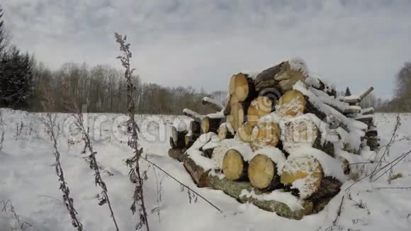 森林附近冬季雪场的柴禾原木时间流逝4K视频的预览图