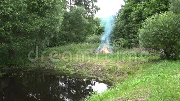 夏季池塘湖岸森林树木附近燃烧着火焰4K视频的预览图