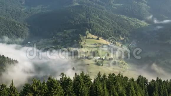 雾蒙蒙的早晨雾蒙蒙的天空笼罩着森林的乡村时光视频的预览图