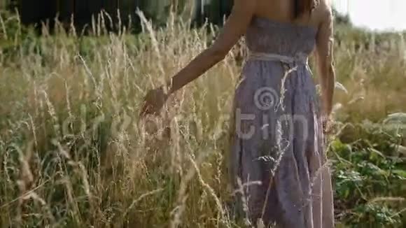 女人触摸田野里的枯草视频的预览图