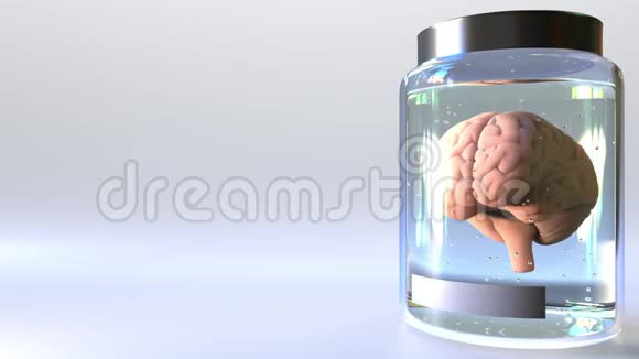 罐子里的人脑视频的预览图
