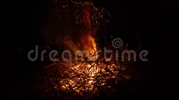 在被树枝包围的黑色背景上燃烧篝火关门视频的预览图