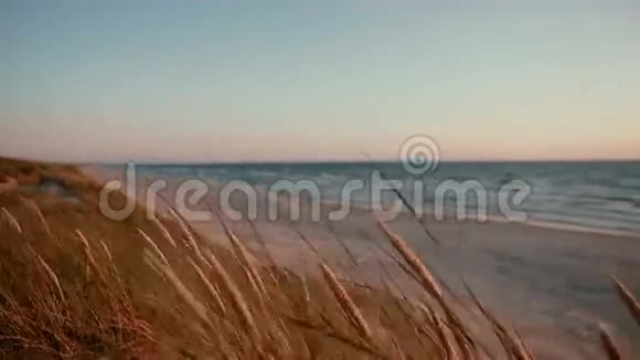 沙滩上写着文字和一颗心沙丘上覆盖着青草在一个美丽的夜晚在海上视频的预览图