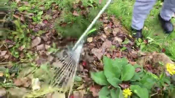 秋季清洁花坛视频的预览图