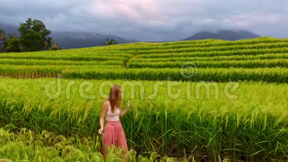 空中拍摄的Jatiluwih绿地村巴厘岛上令人惊叹的水稻梯田年轻女子走着饭视频的预览图
