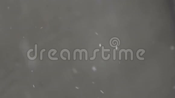 抽象的雪背景雪白的背景灰色背景下缓慢运动的雪质地视频的预览图