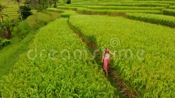 空中拍摄的Jatiluwih绿地村巴厘岛上令人惊叹的水稻梯田年轻女子走着饭视频的预览图