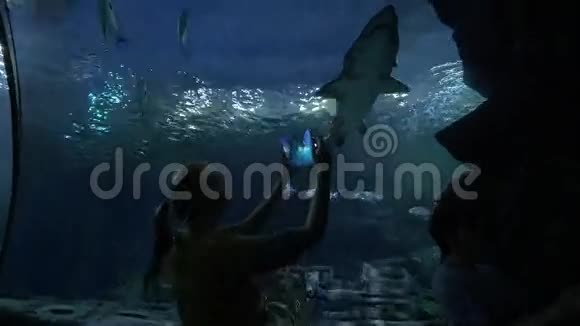 在海洋馆拍摄鲨鱼的女人视频的预览图