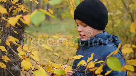 男孩在秋天公园玩树叶在新鲜空气中散步秋天的风景美丽的风景视频的预览图