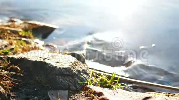 自然河流种植岩石视频的预览图