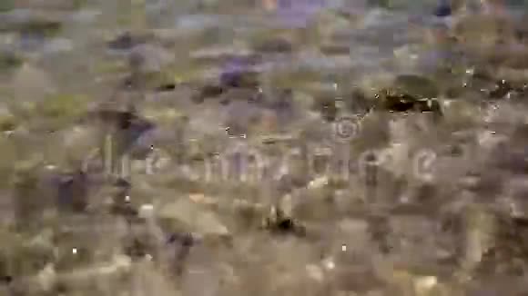 坐潮波浪在沙子上滚动视频的预览图