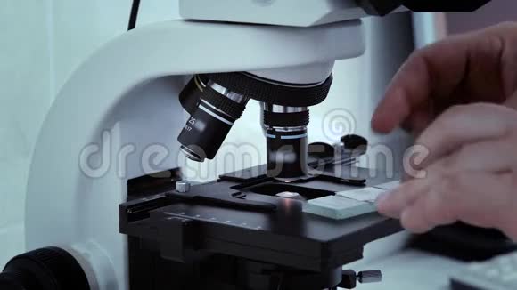 人的手实验室科学家在显微镜中设置玻片进行分析视频的预览图