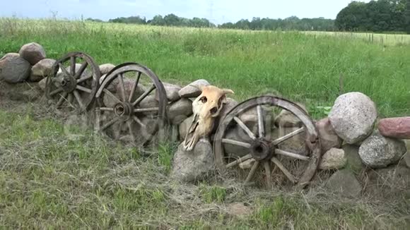 农场里的牛头骨马车轮和石头视频的预览图