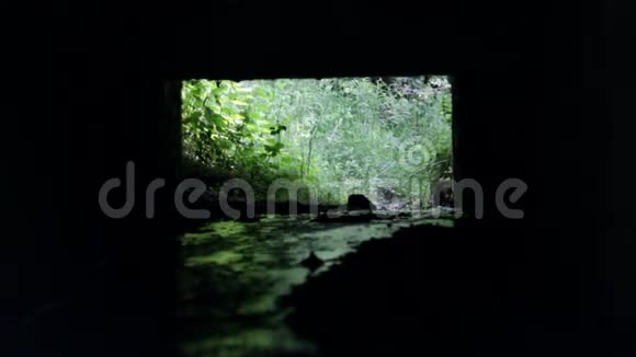 水流穿过隧道视频的预览图