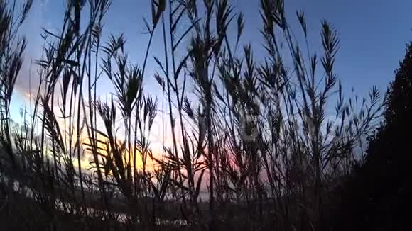 拉霍亚滑翔机港口日落射手1视频的预览图