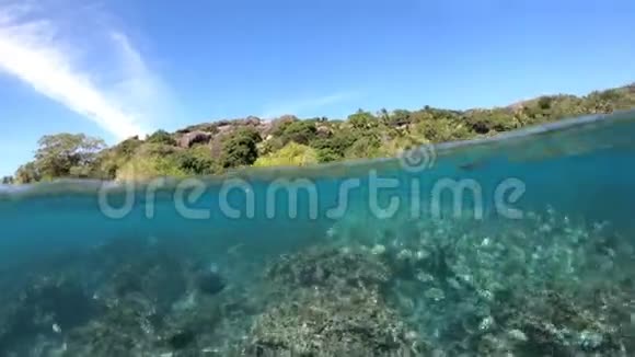 费利切特岛塞舌尔群岛视频的预览图