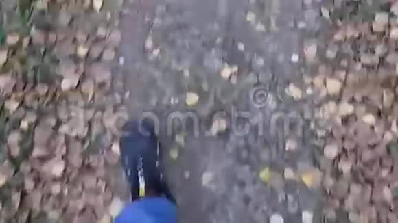 走在小径上秋天的落叶视频的预览图