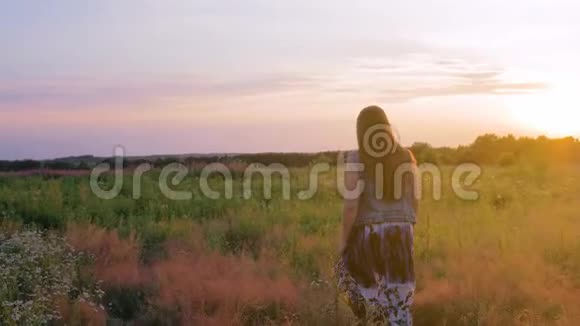穿着裙子的年轻女子正沿着一片绿色的田野在野花丛中散步夕阳西下视频的预览图