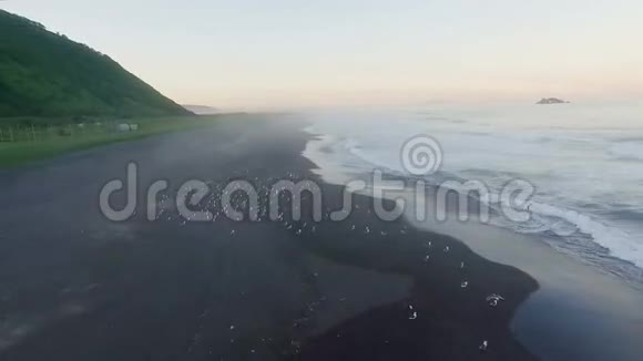 空中海滩上的鸟日落时分在直升机上沿着海滩飞行视频的预览图