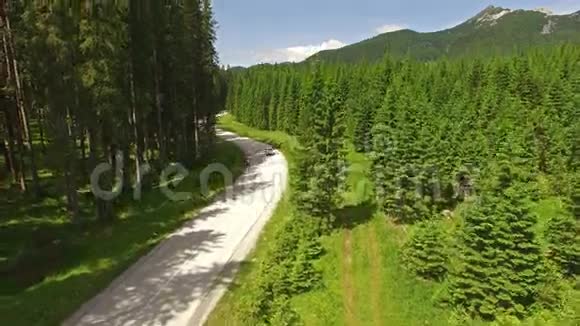在斯洛文尼亚Pokljuka森林道路上方升起的摄像机视频的预览图