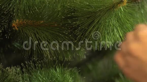 女孩装饰圣诞树挂在树枝上蓝色闪亮的球视频的预览图