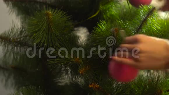 女孩装饰圣诞树把粉红色的球挂在树枝上视频的预览图