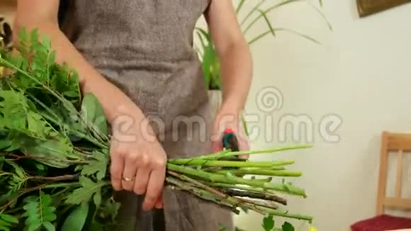 花匠用剪刀剪开花根修剪花束中的植物年轻的女人装饰花视频的预览图