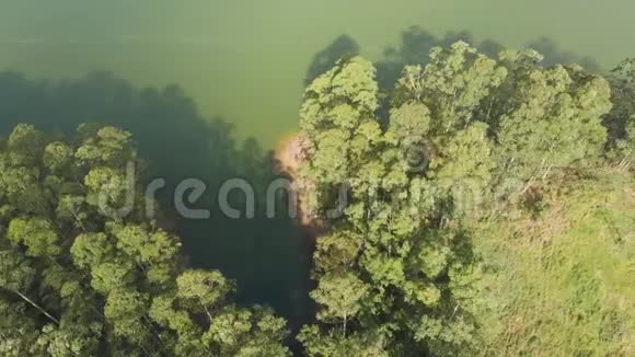 喀拉拉邦印度森林和湖泊的鸟瞰图视频的预览图