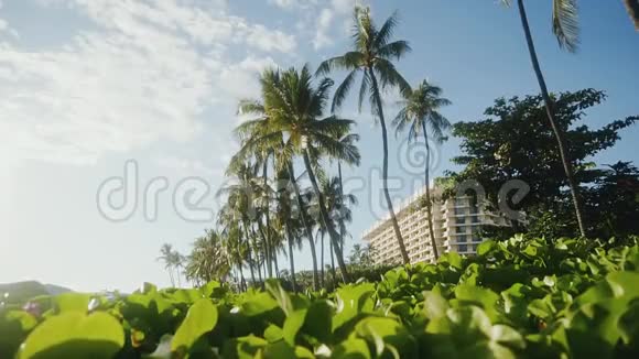 夏威夷毛伊岛多云天空下海洋海岸迷人的热带自然中的豪华度假胜地凯悦视频的预览图