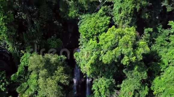 绿林热带瀑布鸟瞰图视频的预览图