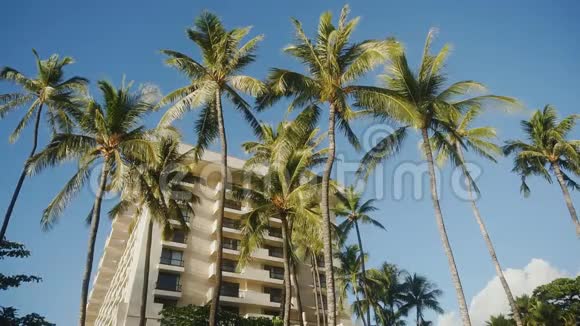 在夏威夷毛伊岛热带岛屿的现代建筑上柔和的蓝天笼罩着舒适的酒店凯悦和奇异的树木视频的预览图