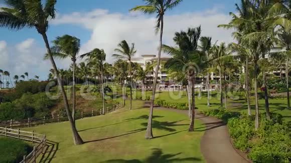 棕榈巷风景如画美丽的小径通向夏威夷毛伊岛时髦的度假胜地蒙太奇卡帕卢阿视频的预览图