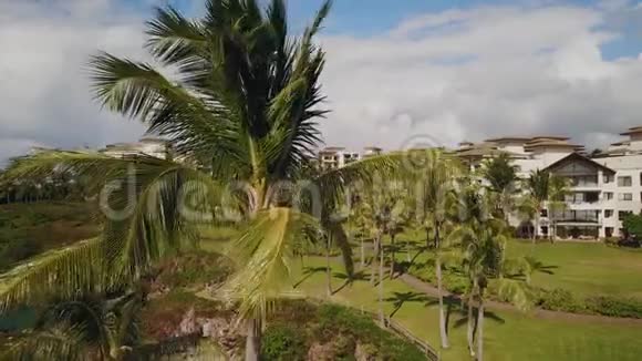 棕榈树的顶端在美丽的度假胜地蒙太奇卡帕卢阿的背景下阳光明媚的日子在岛毛伊视频的预览图