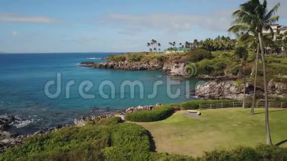 迷人的蓝色海洋拍摄海岸线棕榈和豪华度假胜地蒙太奇卡帕卢阿莫伊夏威夷视频的预览图