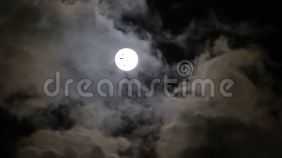 有月光背景的飞行蝙蝠视频的预览图