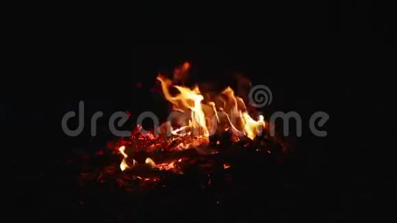 篝火晚会火和活煤视频的预览图