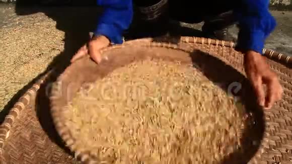 农民放粮食视频的预览图