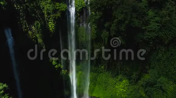 绿色雨林中强大的热带瀑布视频的预览图