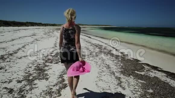 在澳大利亚海滩散步视频的预览图