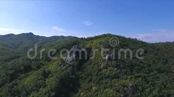 晴天森林覆盖的高山的鸟瞰图视频的预览图