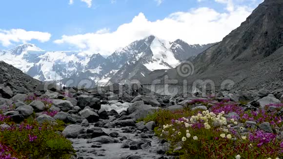 溪水从雪山脚下的冰川中流淌视频的预览图