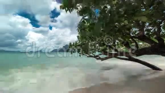 树靠在拉斯卡巴纳斯海滩的海岸上4K时间推移2016年8月菲律宾ElNidoPalawan视频的预览图