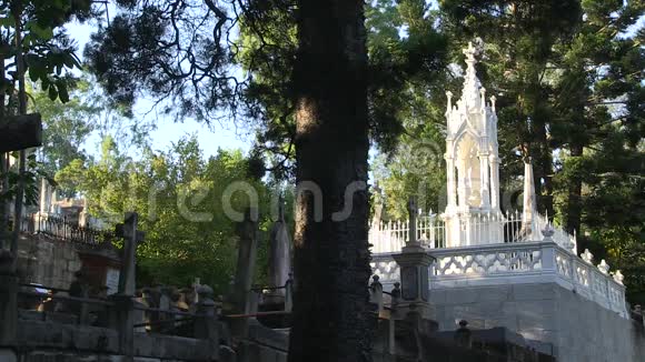 白色大墓向右十字架向左显示他们的年龄视频的预览图