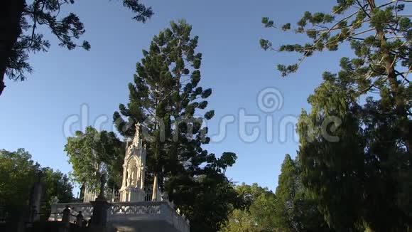 高大的白色坟墓被周围的树木所贬低视频的预览图