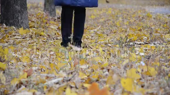 一个女人走在秋叶上视频的预览图