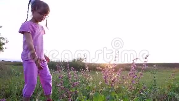 戴眼镜的女孩在草地上收集野花她想做一束花视频的预览图