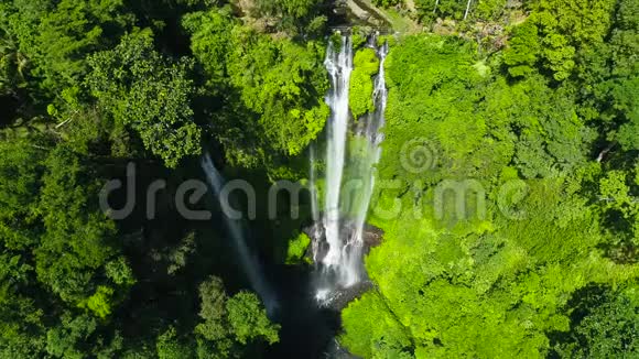 绿色雨林中强大的热带瀑布视频的预览图