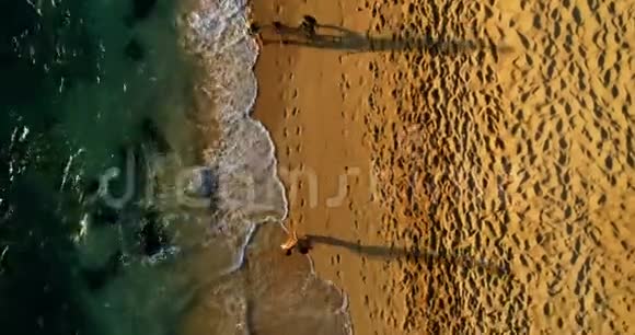 在阳光明媚的4k天在海滩散步的游客视频的预览图