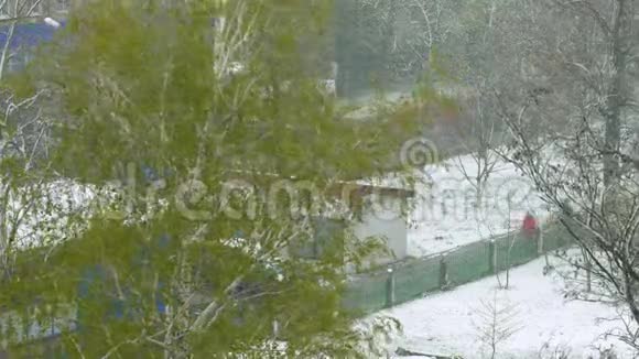 春天盛开的花园里下雪白雪皑皑的春天森林视频的预览图