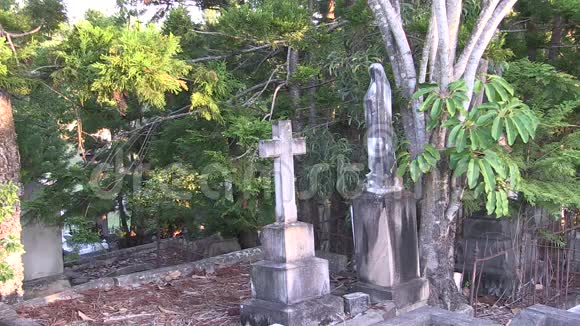 圣母像依偎在树木中占据了墓地视频的预览图